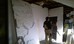 IMAG0796.jpg